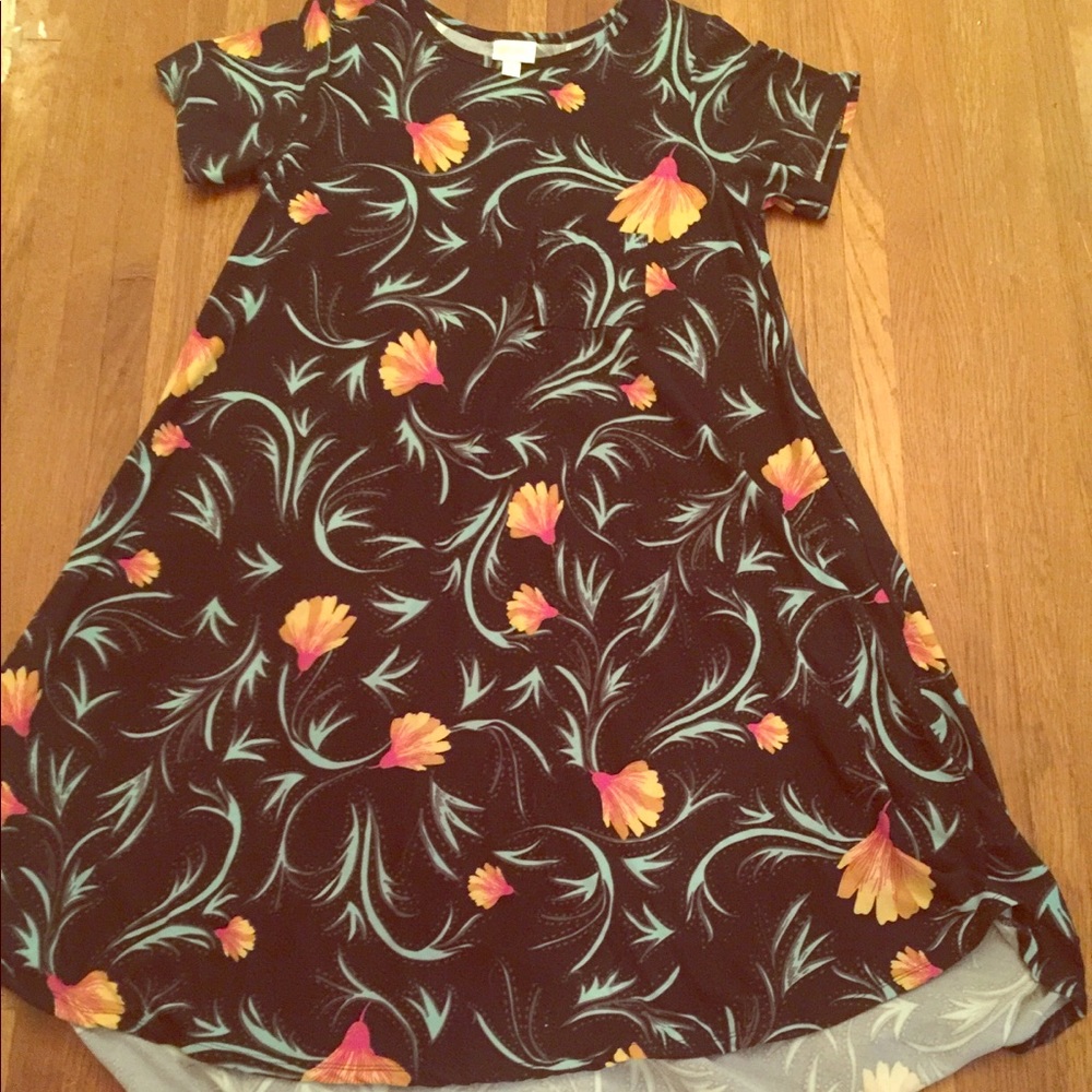 NWOT LuLaRoe dress
